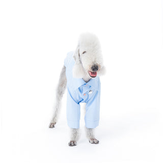 Kühlendes antiallergisches Bambus-Hundeshirt