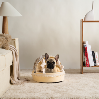 Cozy Cradle Katzenbett