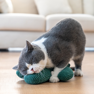 ZEZE Pets Katzenminze Kaktus Spielzeug