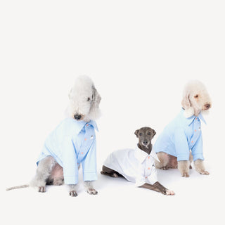 Kühlendes antiallergisches Bambus-Hundeshirt