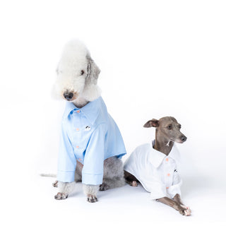 Kühlendes antiallergisches Bambus-Hundeshirt