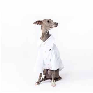 Kühlendes antiallergisches Bambus-Hundeshirt