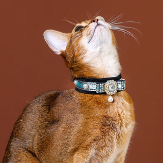 Samt-Halsband für Katzen