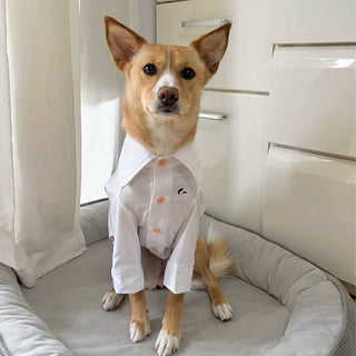 Kühlendes antiallergisches Bambus-Hundeshirt