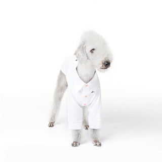 Kühlendes antiallergisches Bambus-Hundeshirt