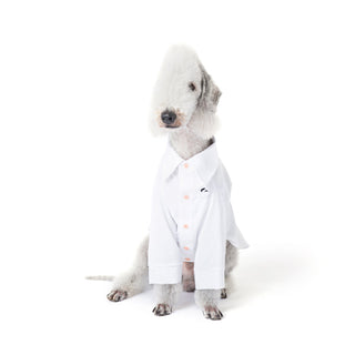 Kühlendes antiallergisches Bambus-Hundeshirt