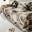 Beige Blumen